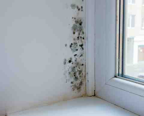 damp wall from condensation causing mould and mildew damage 