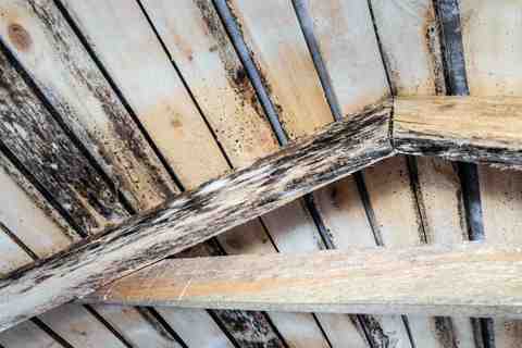 Damp timberwork in domestic loft suffering dry rot due to high condensation